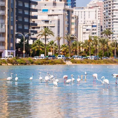 아파트 Apartamento Caribe - Plusholidays 칼페